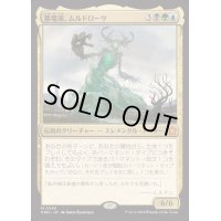 [EX+](FOIL)墓場波、ムルドローサ/Muldrotha, the Gravetide《日本語》【FDN】