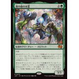 [EX+]西の樹の木霊/Kodama of the West Tree《日本語》【J25】