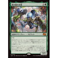 [EX+]西の樹の木霊/Kodama of the West Tree《日本語》【J25】