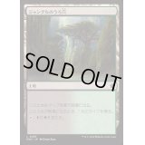 [EX+]ジャングルのうろ穴/Jungle Hollow《日本語》【FDN】