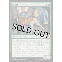 [EX+]誇り猫/Pridemalkin《日本語》【J25】