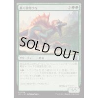 [EX+]轟く棘背びれ/Thundering Spineback《日本語》【J25】