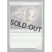 [EX+]這いまわる胞子/Spore Crawler《日本語》【J25】
