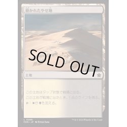 画像1: [EX+]磨かれたやせ地/Scoured Barrens《日本語》【FDN】