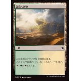 (FOIL)花咲く砂地/Blossoming Sands《日本語》【FDN】