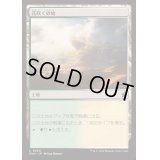 [EX+]花咲く砂地/Blossoming Sands《日本語》【FDN】