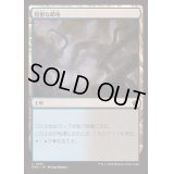 陰鬱な僻地/Dismal Backwater《日本語》【FDN】