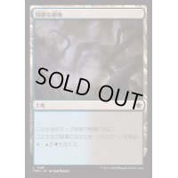 [EX+]陰鬱な僻地/Dismal Backwater《日本語》【FDN】