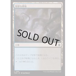 画像1: [EX+](FOIL)陰鬱な僻地/Dismal Backwater《日本語》【FDN】