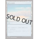 [EX+]孤立した砂州/Lonely Sandbar《日本語》【J25】