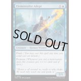 [EX+](FOIL)熟達の精霊術士/Elementalist Adept《英語》【FDN】