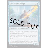 (FOIL)熟達の精霊術士/Elementalist Adept《英語》【FDN】