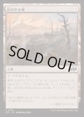 [EX+]灰のやせ地/Ash Barrens《日本語》【J25】
