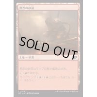 熱烈の砂漠/Desert of the Fervent《日本語》【J25】