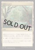 [EX+]興隆する木立/Thriving Grove《日本語》【J25】