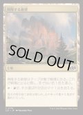 [EX+]興隆する絶壁/Thriving Bluff《日本語》【J25】