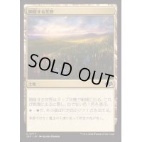 興隆する荒野/Thriving Heath《日本語》【J25】