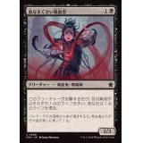 (FOIL)血なまぐさい吸血者/Sanguine Syphoner《日本語》【FDN】