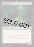 [EX+]闇告げカラス/Crow of Dark Tidings《日本語》【FDN】