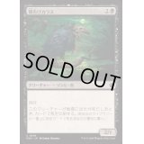 闇告げカラス/Crow of Dark Tidings《日本語》【FDN】