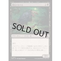 闇告げカラス/Crow of Dark Tidings《日本語》【FDN】