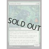 (FOIL)待ち伏せる狼/Ambush Wolf《英語》【FDN】
