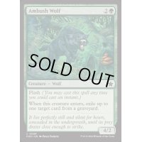 (FOIL)待ち伏せる狼/Ambush Wolf《英語》【FDN】