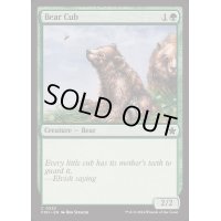 [EX+]仔熊/Bear Cub《英語》【FDN】