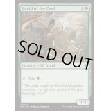 [EX+]僧帽地帯のドルイド/Druid of the Cowl《英語》【FDN】