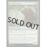 ナーリッドの群棲/Gnarlid Colony《英語》【FDN】