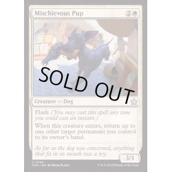 画像1: [EX+](FOIL)悪戯好きの子犬/Mischievous Pup《英語》【FDN】