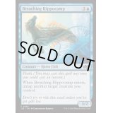 水跳ねの海馬/Breaching Hippocamp《英語》【J25】