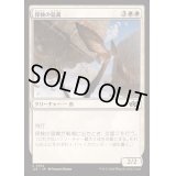 探検の猛禽/Expedition Raptor《日本語》【J25】