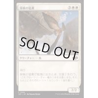 探検の猛禽/Expedition Raptor《日本語》【J25】