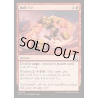 (FOIL)かさ上げ/Bulk Up《英語》【FDN】