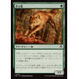 若き狼/Young Wolf《日本語》【INR】