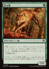 若き狼/Young Wolf《日本語》【INR】