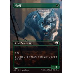 画像1: (FOIL)(フルアート)若き狼/Young Wolf《日本語》【INR】
