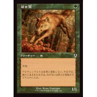 [EX+](旧枠仕様)若き狼/Young Wolf《日本語》【INR】