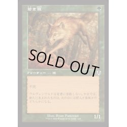 画像1: [EX+](FOIL)(旧枠仕様)若き狼/Young Wolf《日本語》【INR】