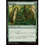 豊かな成長/Abundant Growth《日本語》【INR】