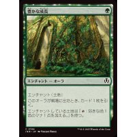 豊かな成長/Abundant Growth《日本語》【INR】