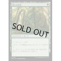 [EX+]豊かな成長/Abundant Growth《日本語》【INR】