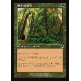 (FOIL)(旧枠仕様)豊かな成長/Abundant Growth《日本語》【INR】
