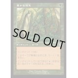 [EX+](旧枠仕様)豊かな成長/Abundant Growth《日本語》【INR】