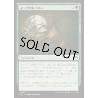 過去との取り組み/Grapple with the Past《日本語》【INR】