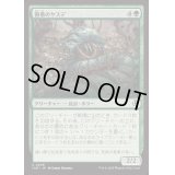 [EX+](FOIL)黴墓のヤスデ/Moldgraf Millipede《日本語》【INR】
