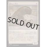 [EX+](FOIL)甚だしい大口/Abundant Maw《日本語》【INR】
