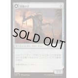 [EX+](FOIL)収穫の手/Harvest Hand《日本語》【INR】