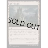 [EX+]進化する未開地/Evolving Wilds《日本語》【INR】